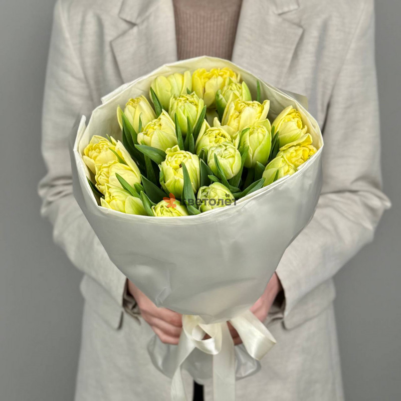 Лимонные пионовидные тюльпаны, 19 шт