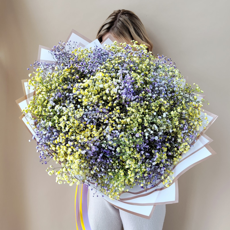 Букет из 19 цветных гипсофил