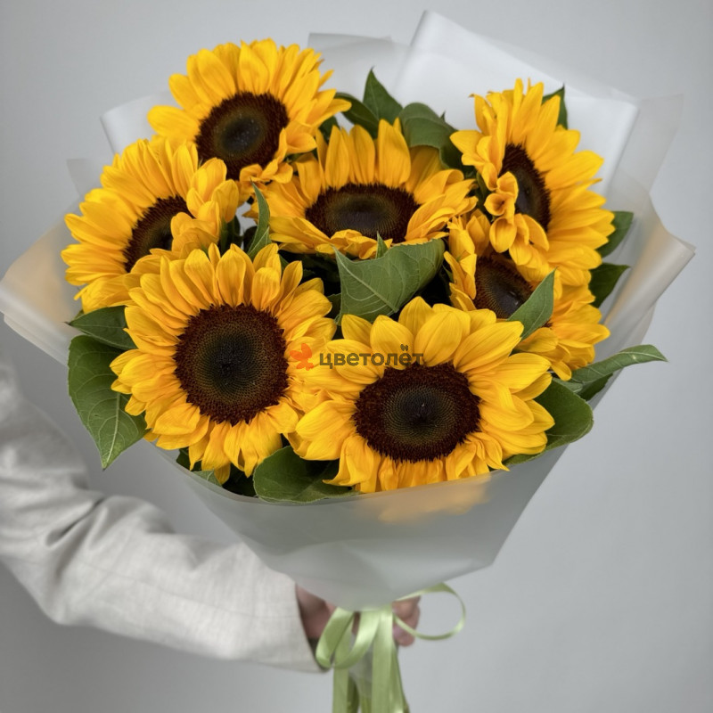 Знания в цветах